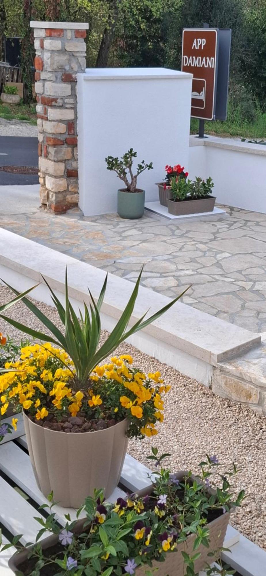 Apartment Damiani Ουμάγκ Εξωτερικό φωτογραφία
